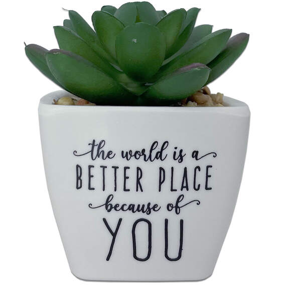 Faux Potted Succulent With Complimentary Message, , large image number 1