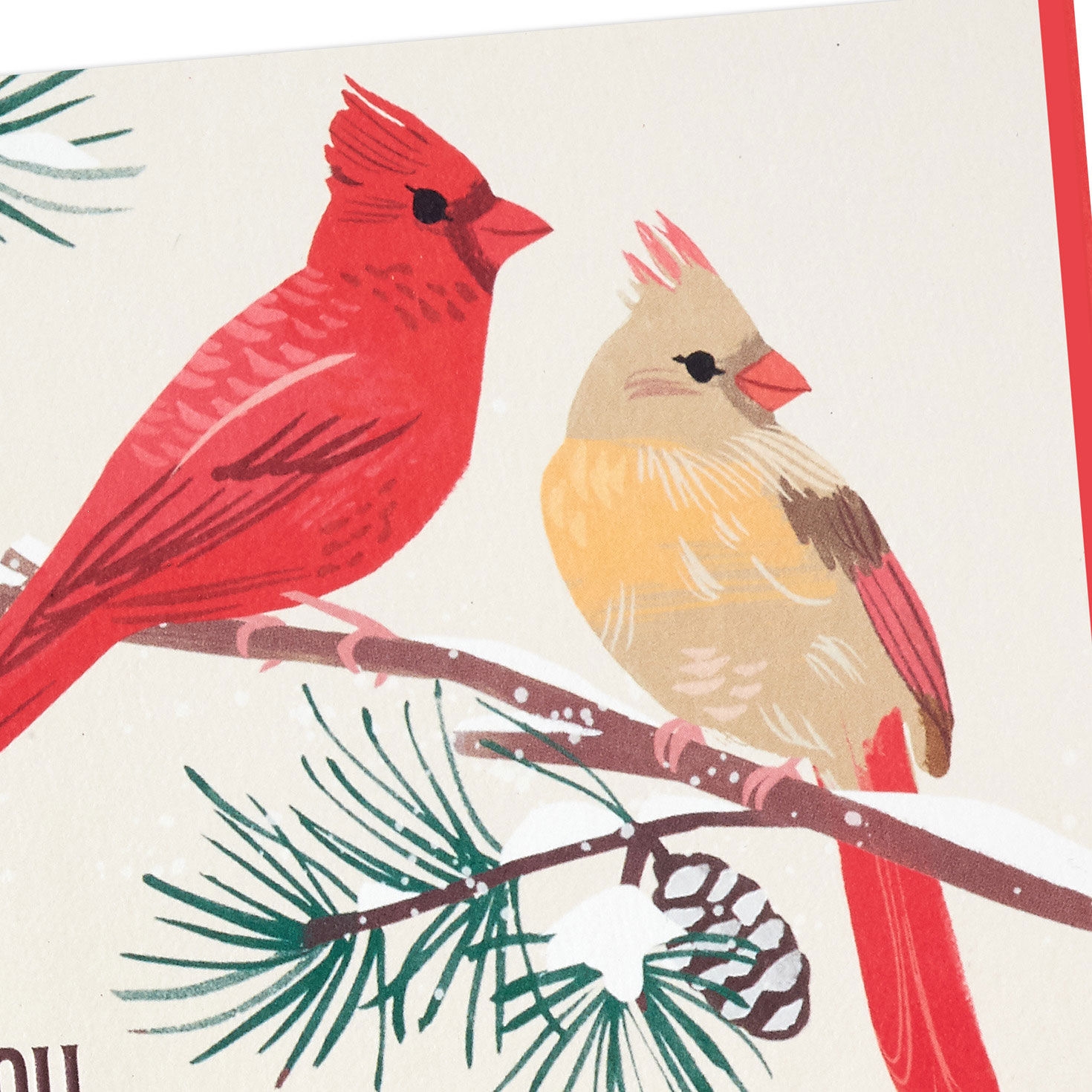 Cardinals in Snow Blank Thank-You Cards, Pack of 20, , large image number 3