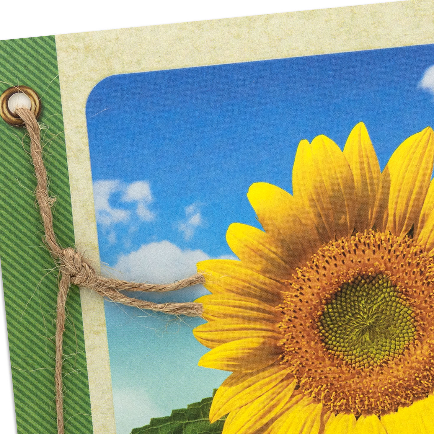 Field of Sunflowers Blank Card Card Front Detail image number 3