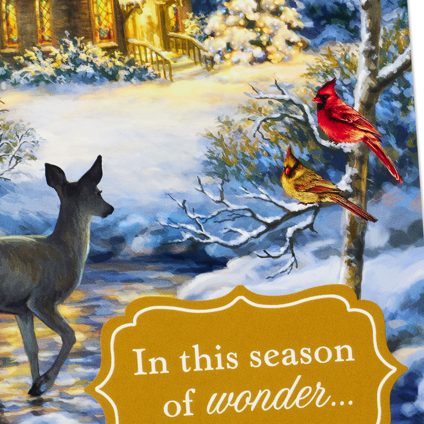 Serene Nature DaySpring Religious Christmas Cards Cover Detail image number 6
