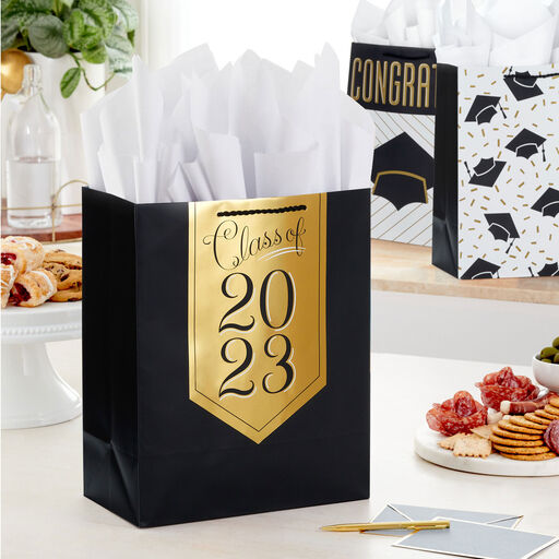 13" Assorted Grad Designs 3-Pack Large Gift Bags With Tissue Paper, 