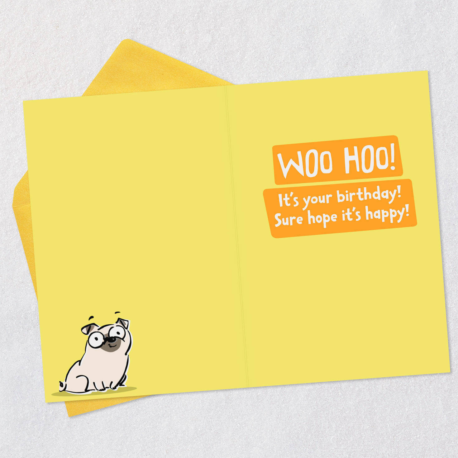 Pug Dog Knock Knock Joke Funny Birthday Card Open card with envelope image number 3