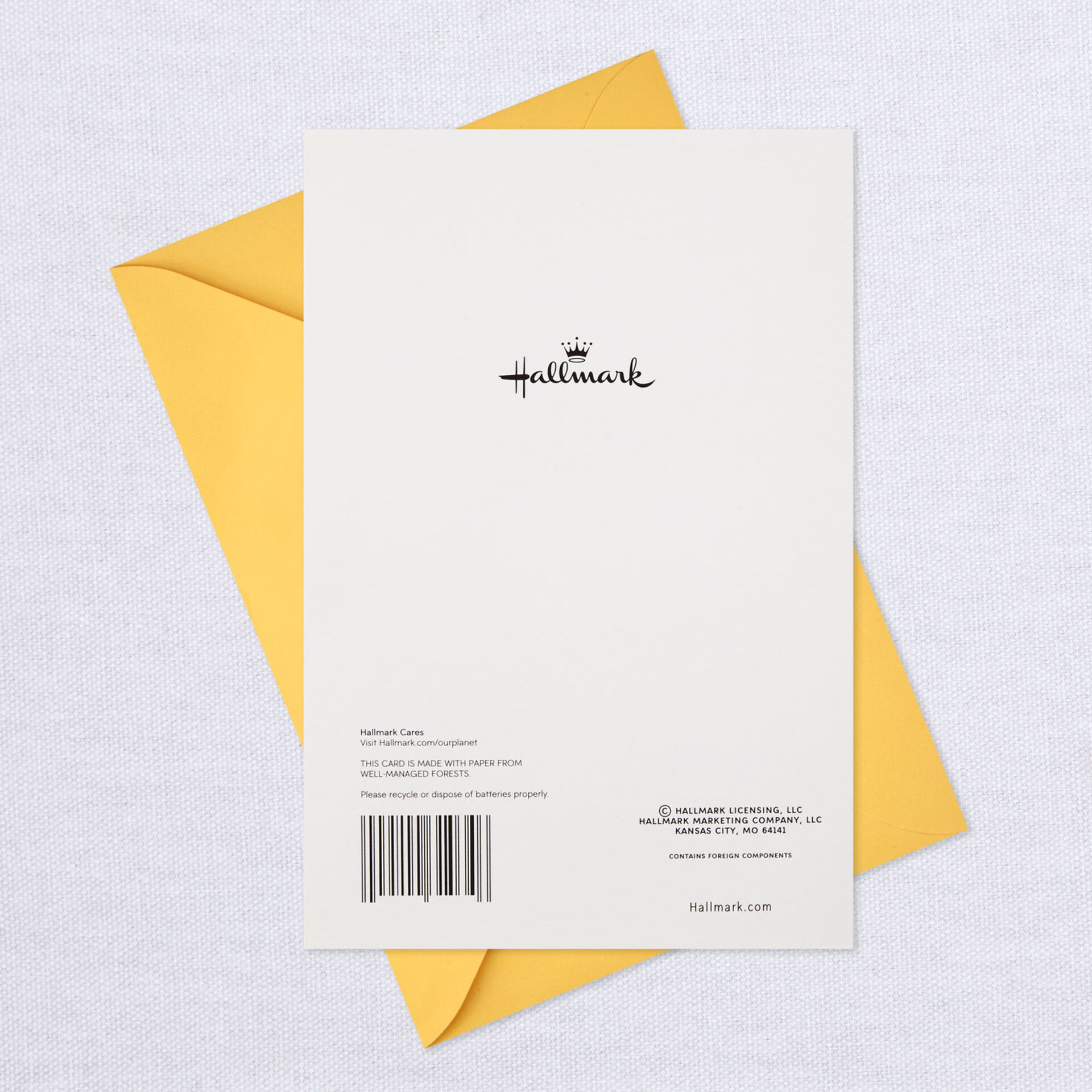 Bunny Dance Musical Easter Card With Motion Greeting Cards Hallmark