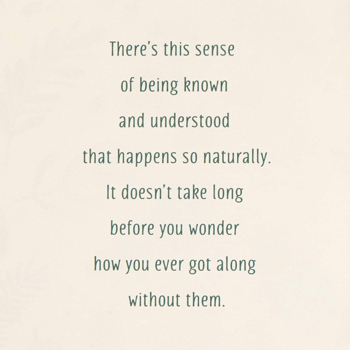 Elegant Pine Cones and Evergreen Sprigs Christmas Card Sentiment image number 2