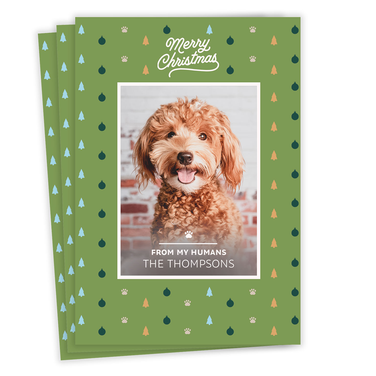 Preppy Pet Flat Christmas Photo Card