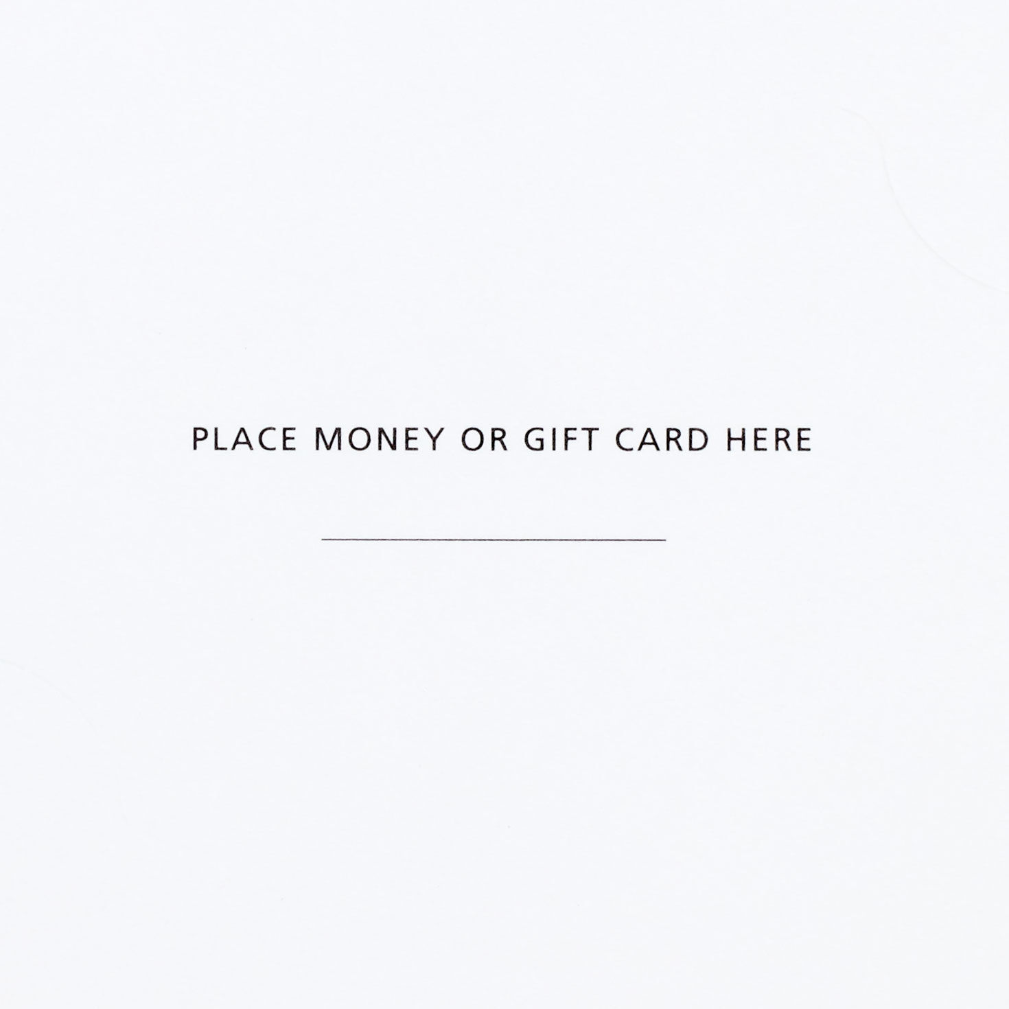 Money Holder Christmas Card Pack sentiment image number 4