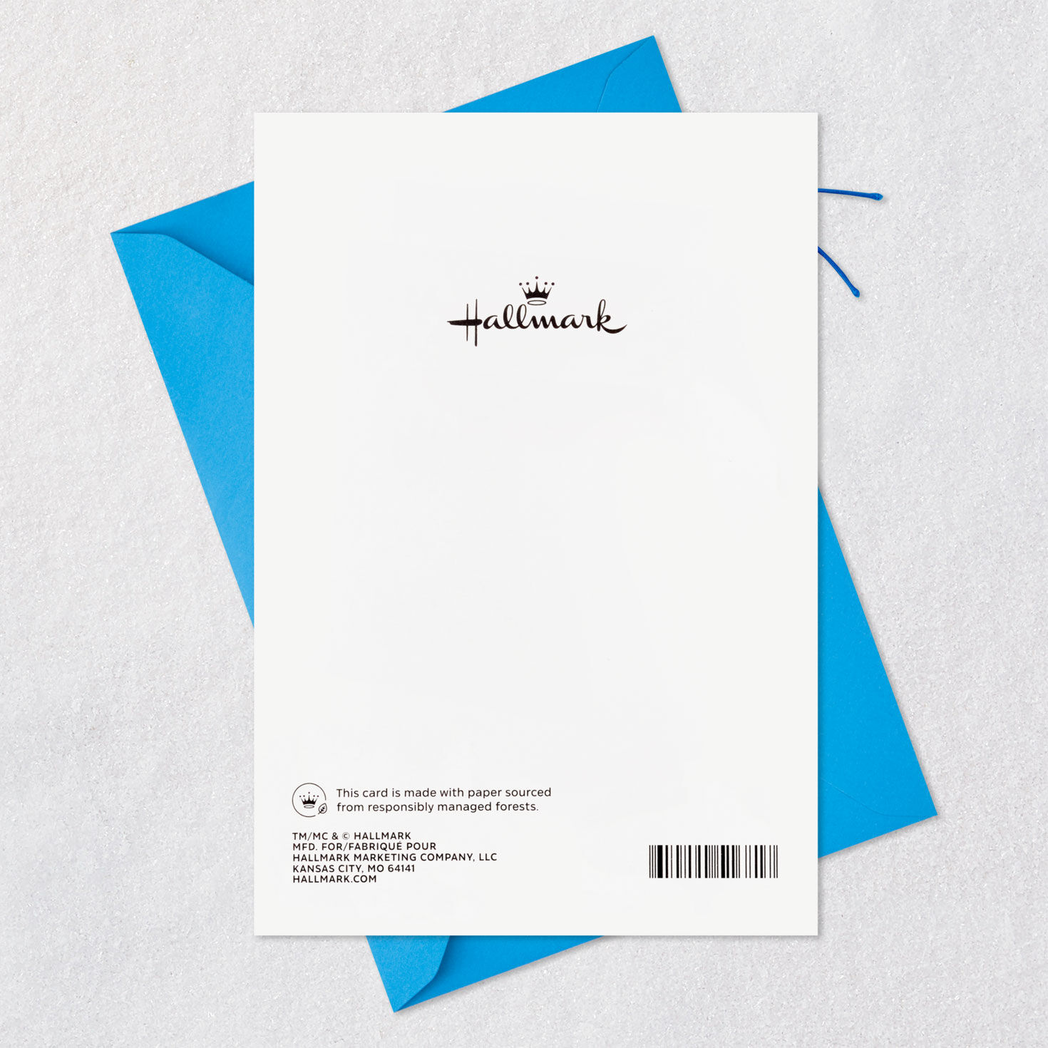 You're Loved and Appreciated Very Much Birthday Card for Dad, , large image number 8