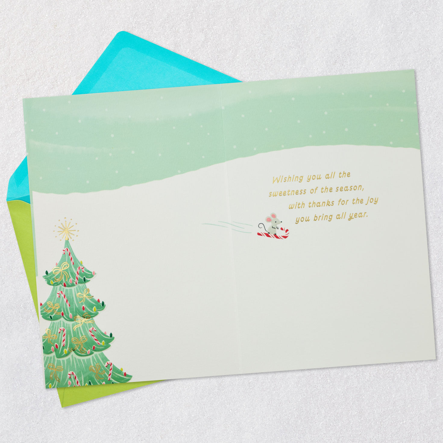 Snowman and Dog Mint Green Christmas Card Open card with envelope image number 3