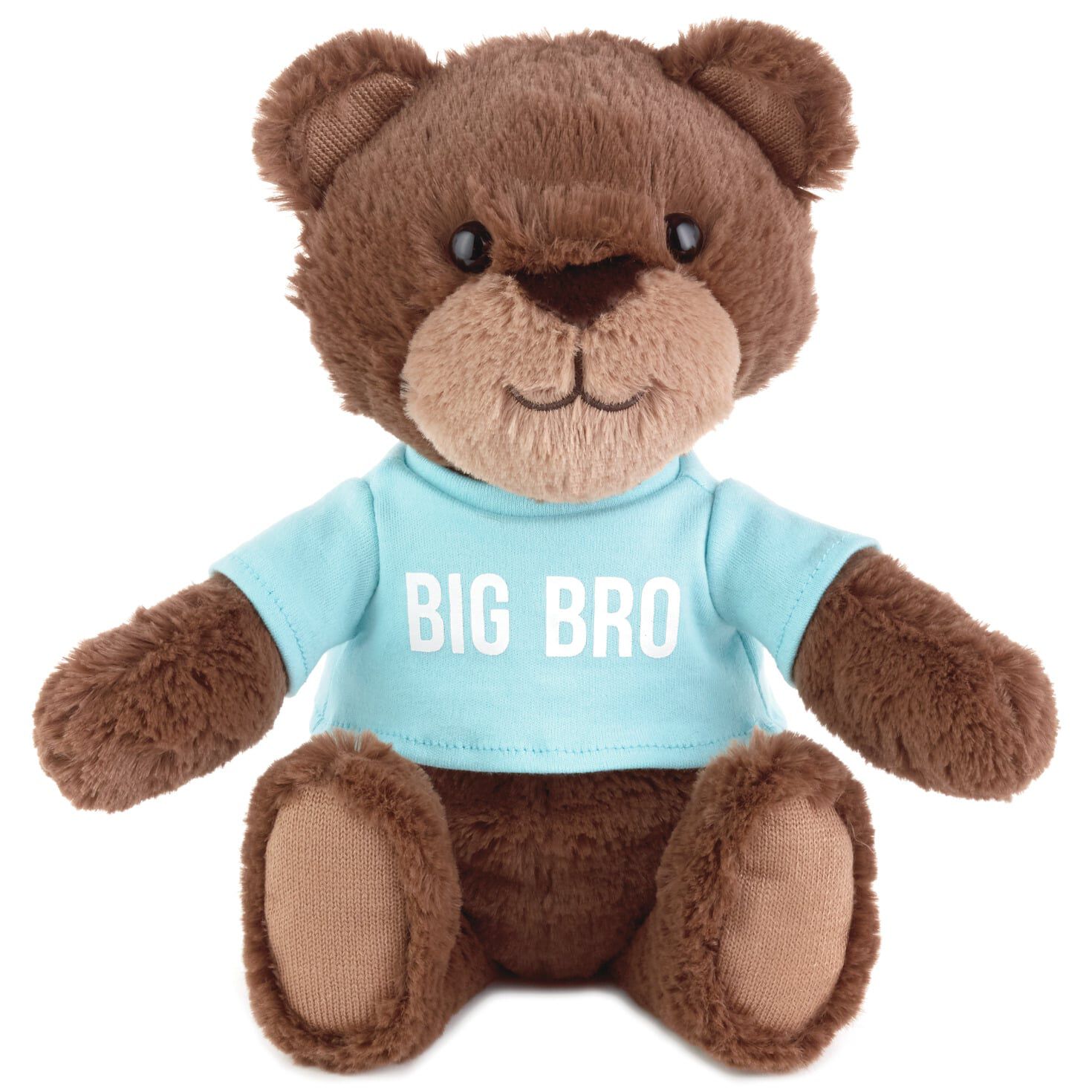 Big Bro Teddy Bear Stuffed Animal, 9 