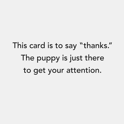 dog in a pink tutu funny thank you card greeting cards hallmark dog in a pink tutu funny thank you card