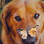 Dog and Butterfly Friendship Card, , large image number 4