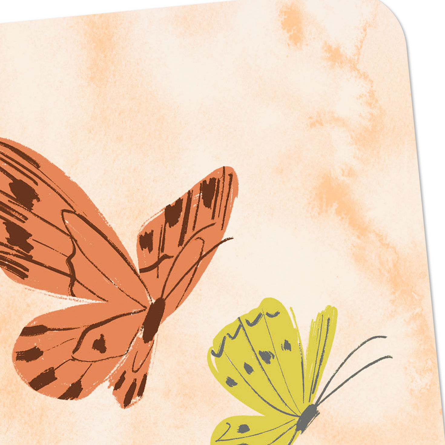 Orange and Yellow Butterflies Blank Card Card Front Detail image number 3