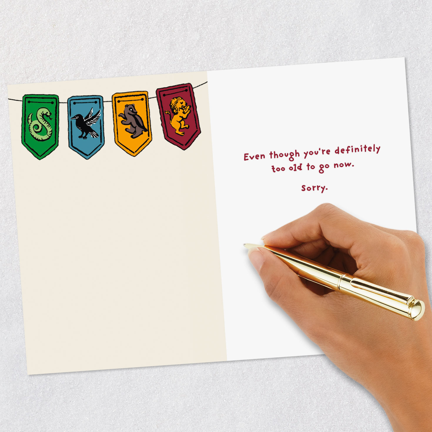 Harry Potter Hogwarts Letter Funny Birthday Card Signing card image number 6
