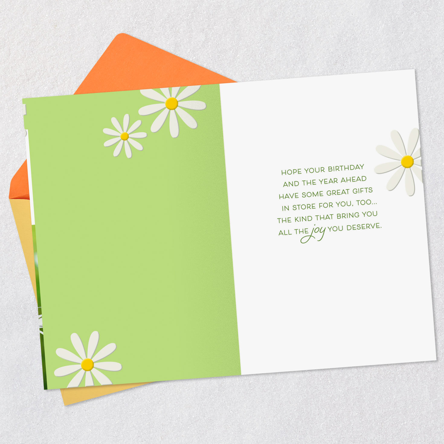 Daisy Flowers on Green Godmother Birthday Card Open card with envelope image number 3