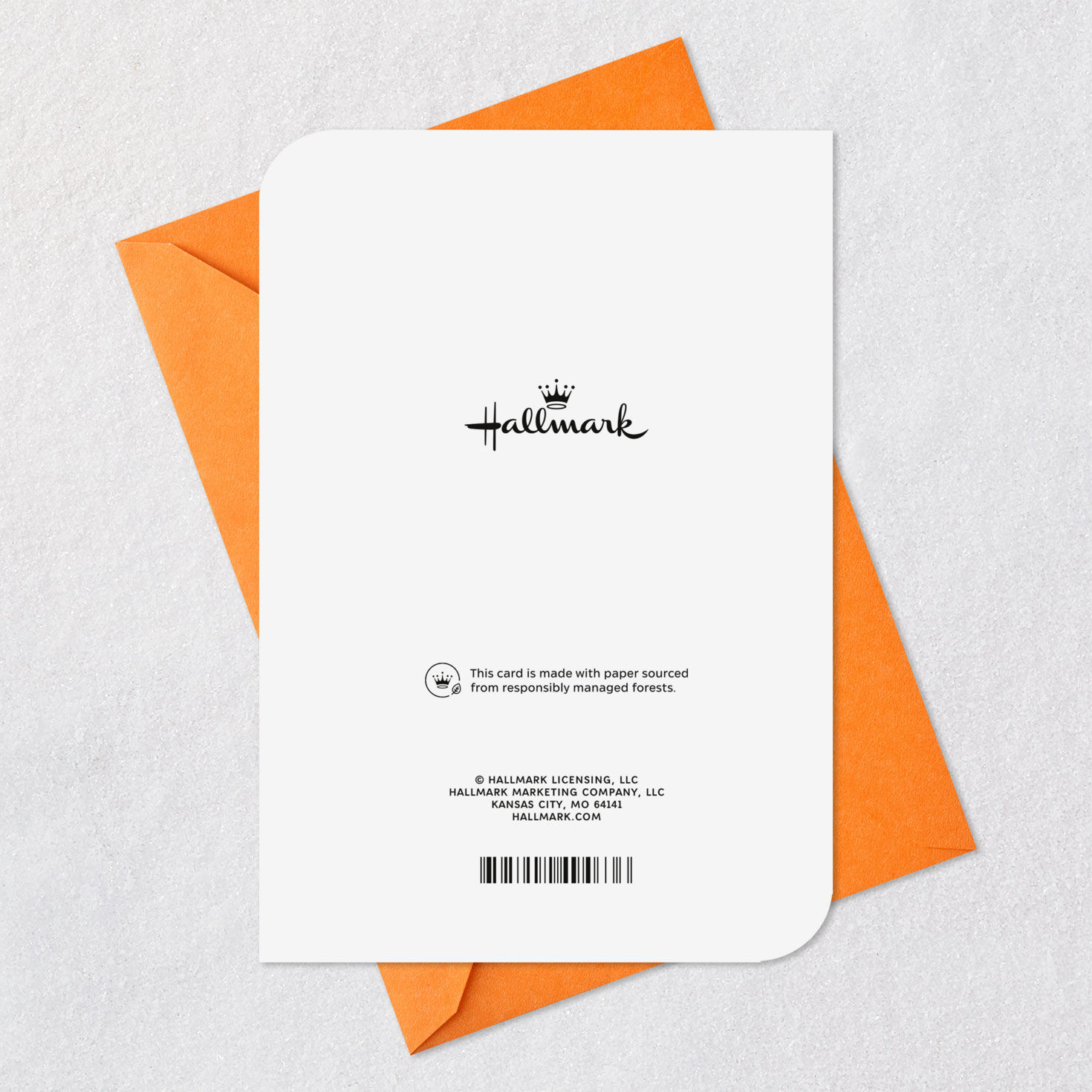 Halloween Quiz Halloween Card for Grandson for only USD 3.59 | Hallmark