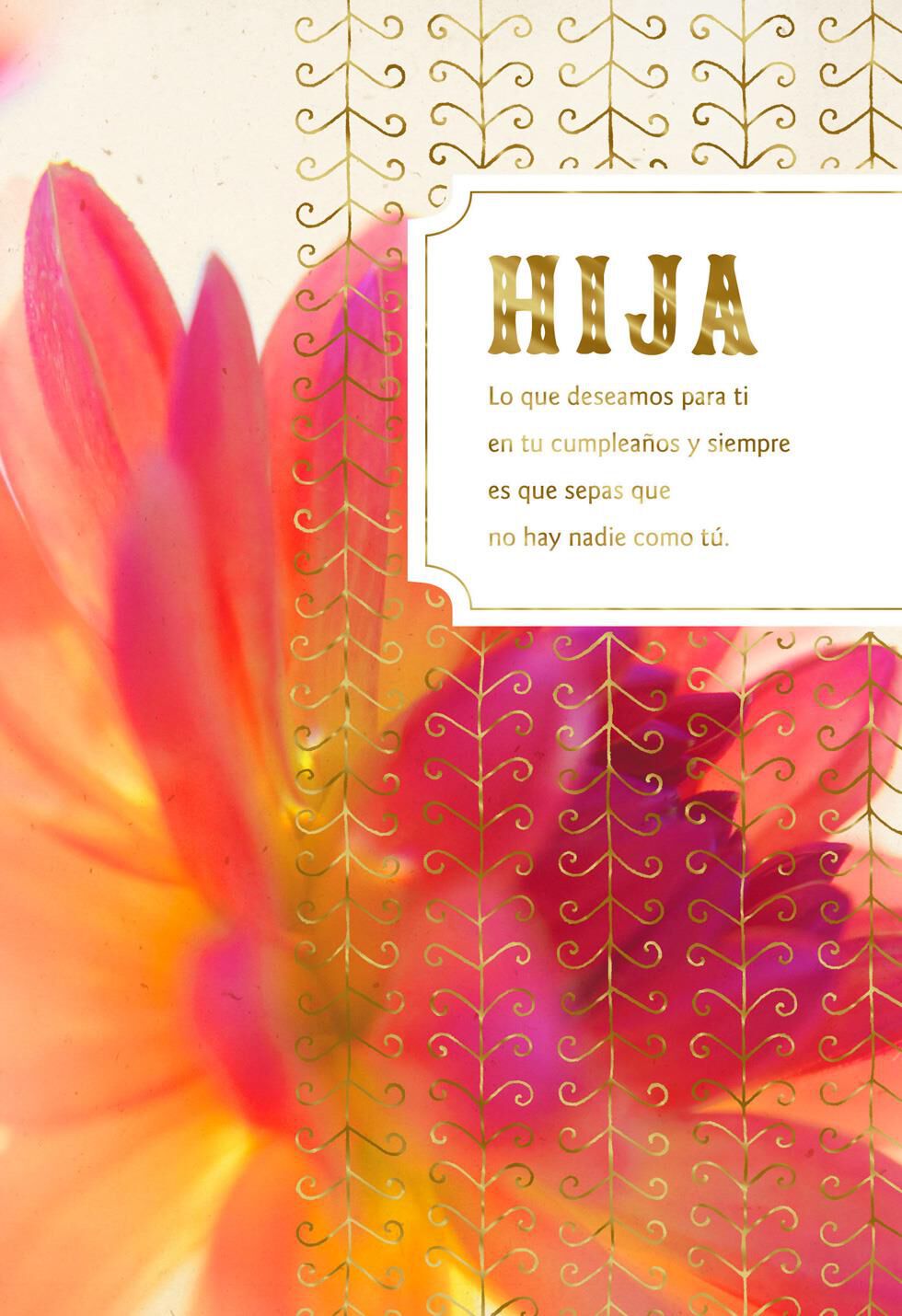 Many Wishes for You Spanish-Language Daughter Birthday Card