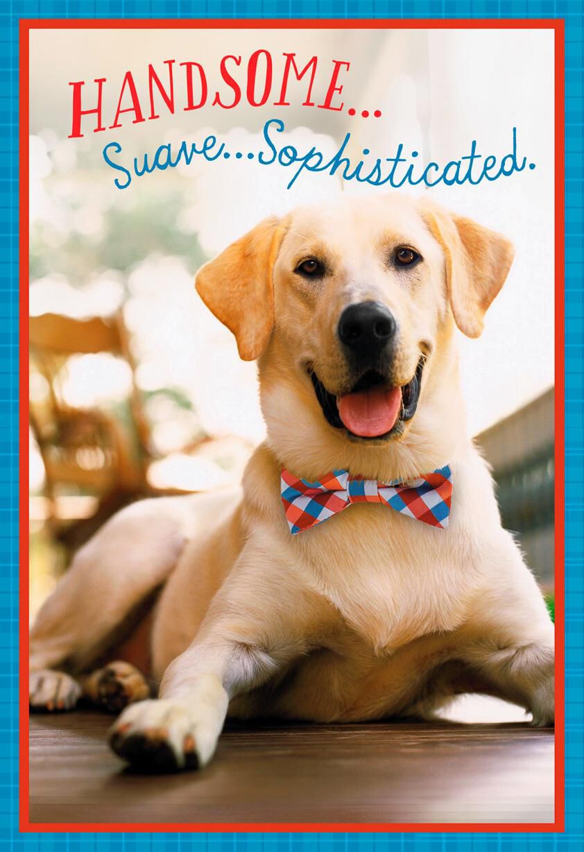 Handsome, Suave, Sophisticated Birthday Card