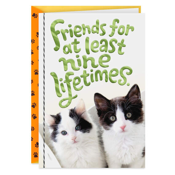 Friends for Nine Lifetimes Friendship Card, , large image number 1