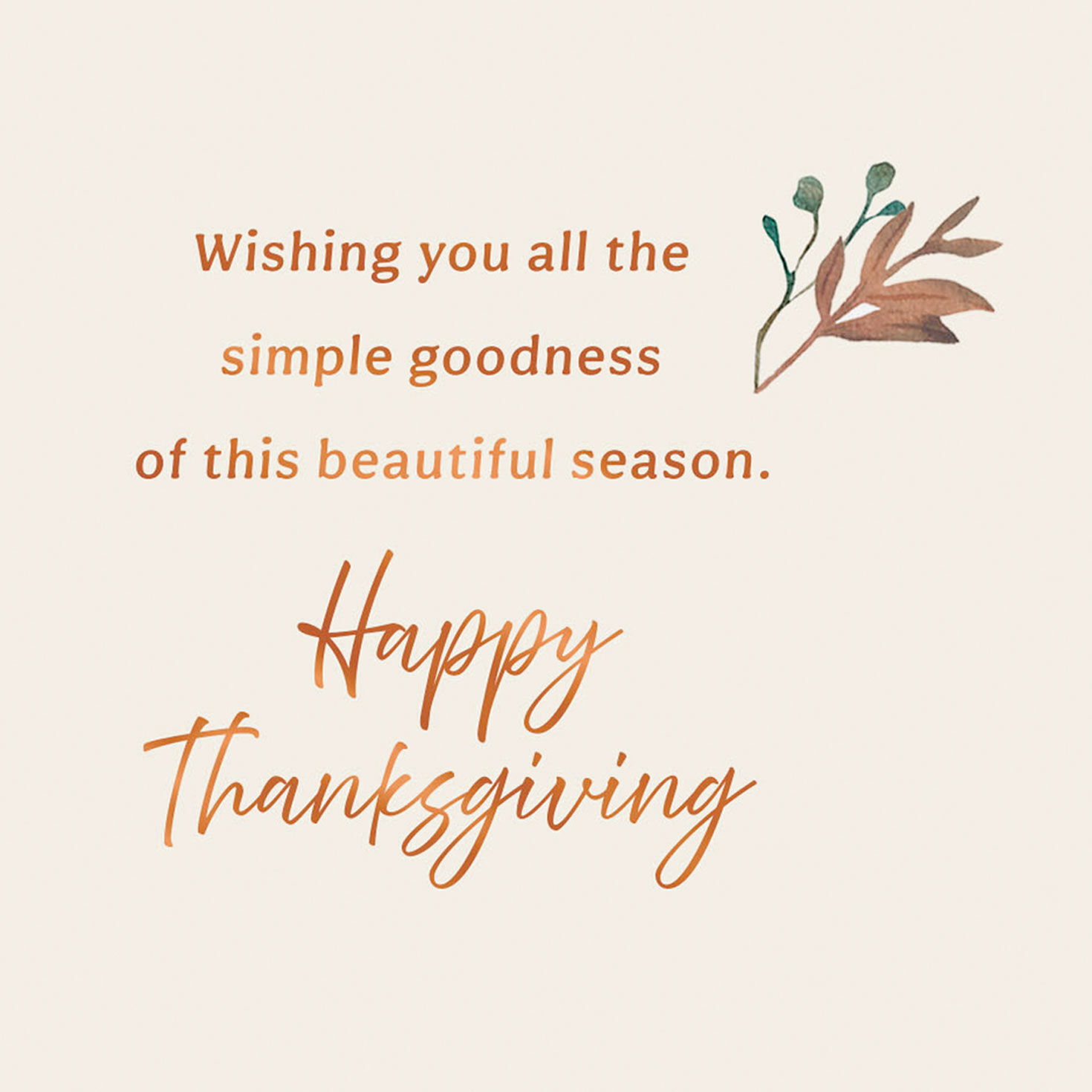 Butterfly, Flowers and Mushrooms Thanksgiving Card Sentiment image number 2