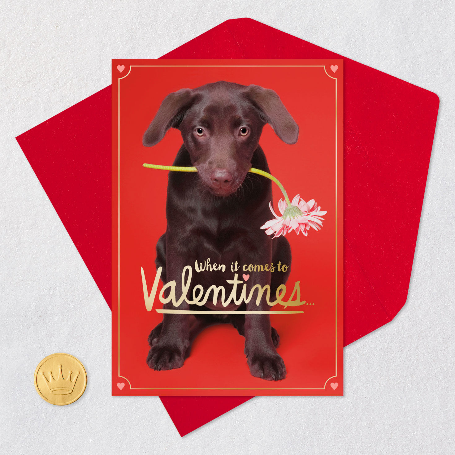 Brown Puppy Dog with Flower Valentine's Day Card Card with envelope and Seal image number 5