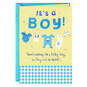 Cute Clothesline New Baby Boy Card, , large image number 1