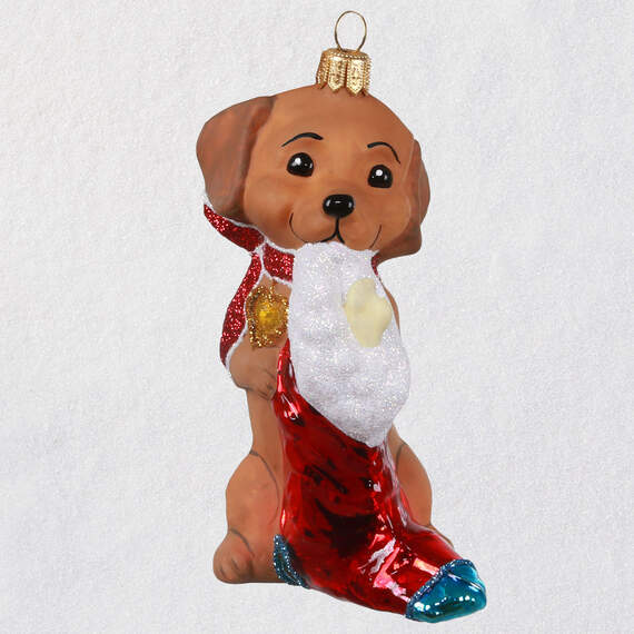 Adorable Dachshund Blown Glass Ornament, , large image number 1