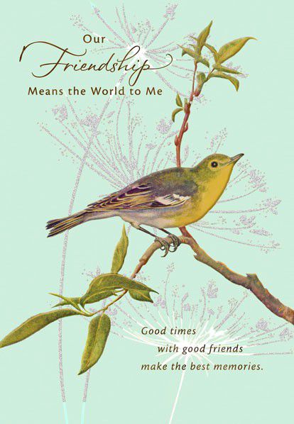 Bird on a Branch Friend Birthday Card