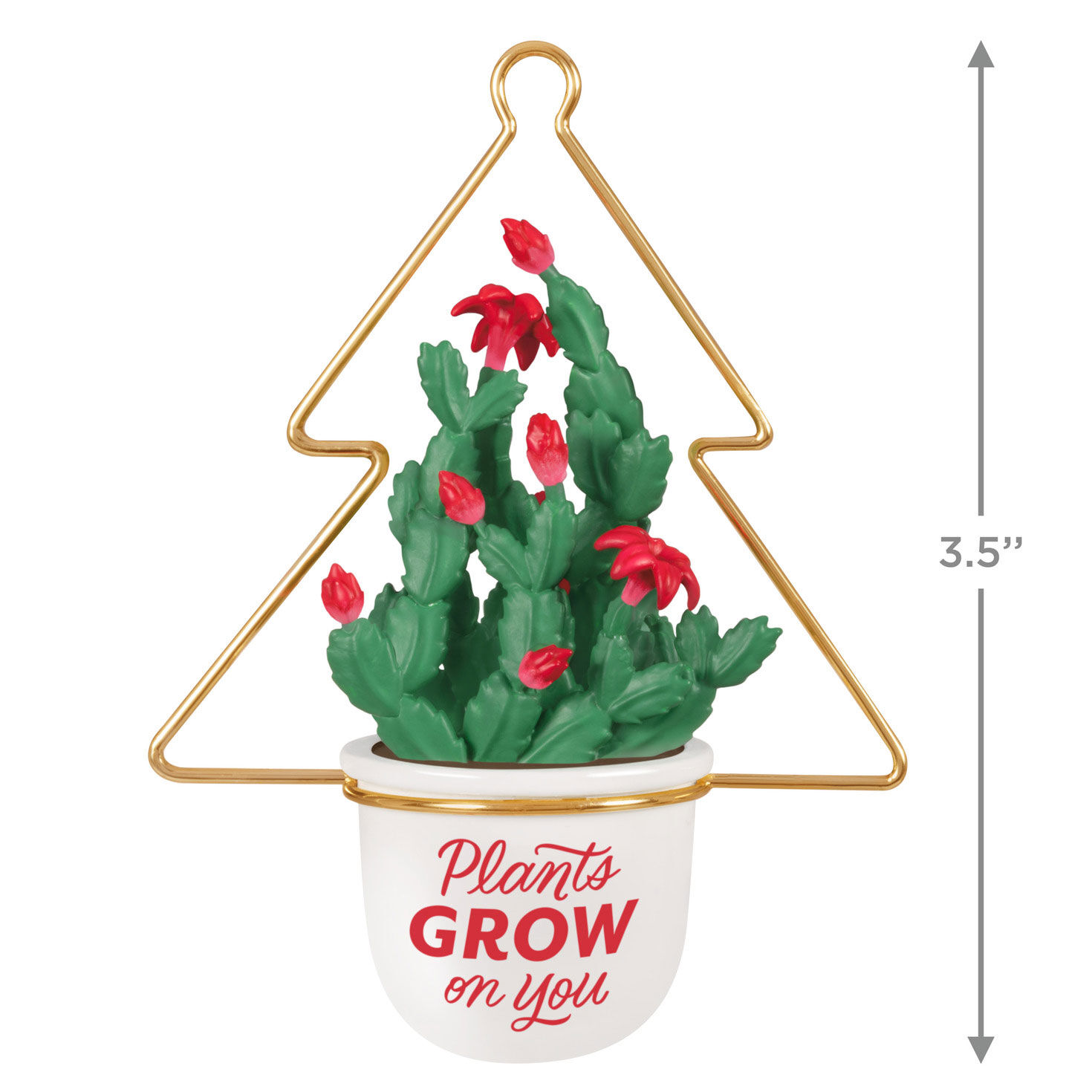 Plants Grow on You Ornament for only USD 24.99 | Hallmark