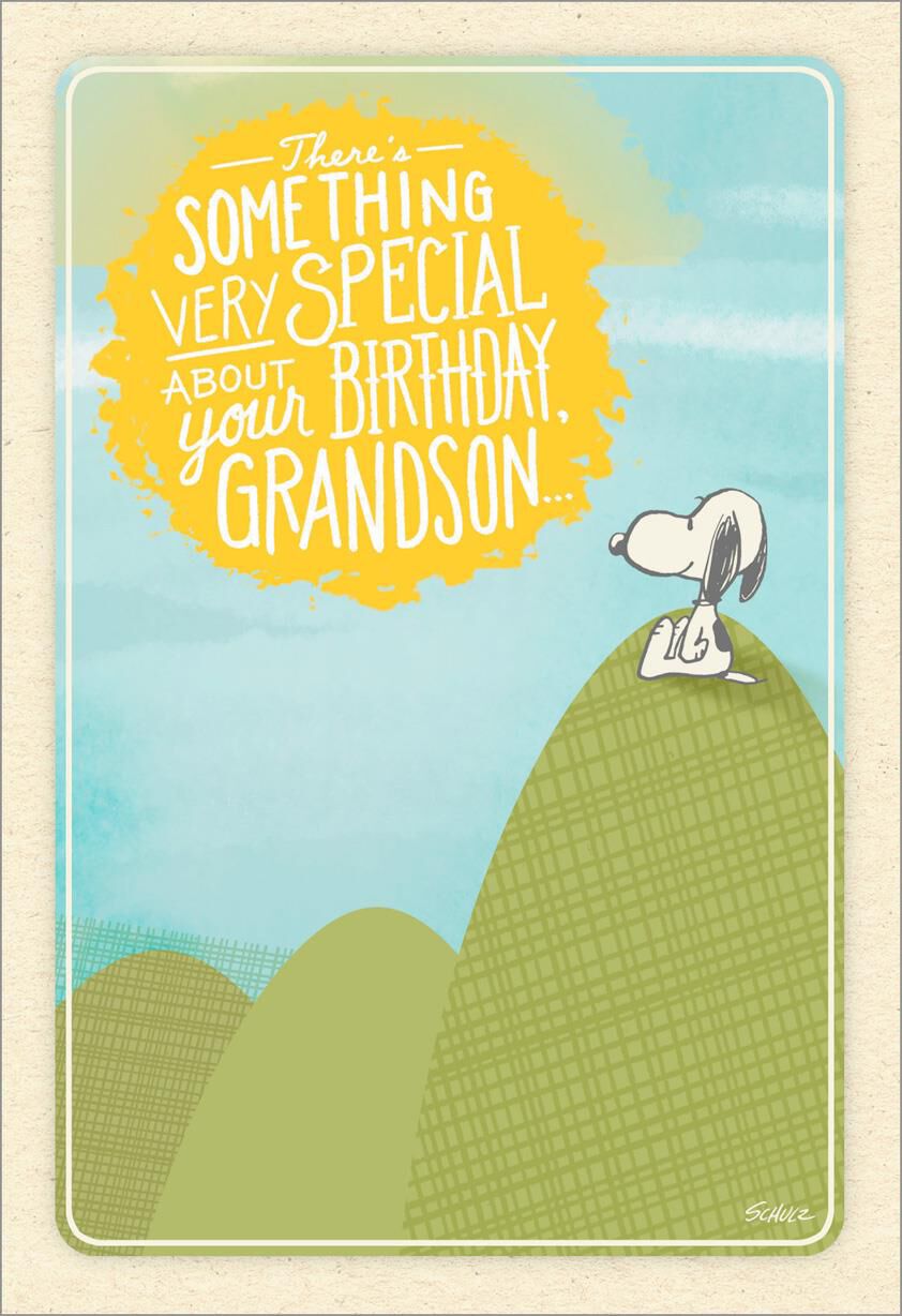 Peanuts® Snoopy A Special Grandson Birthday Card
