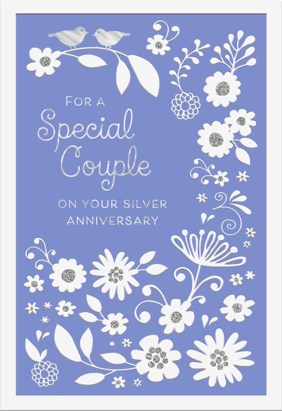 For a Special Couple 25th Anniversary Card