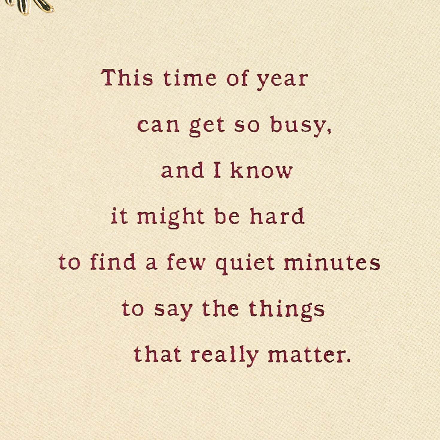 Pine Cones on Red Christmas Card Sentiment image number 2