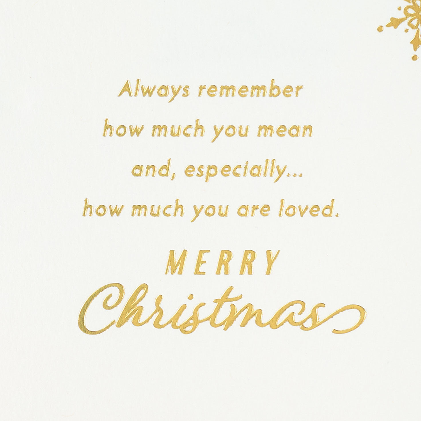 Pinecones Christmas Card for Son and Daughter-in-Law Sentiment image number 2