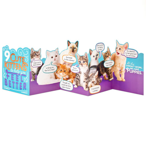 Cute Kittens Funny Get Well Card, 