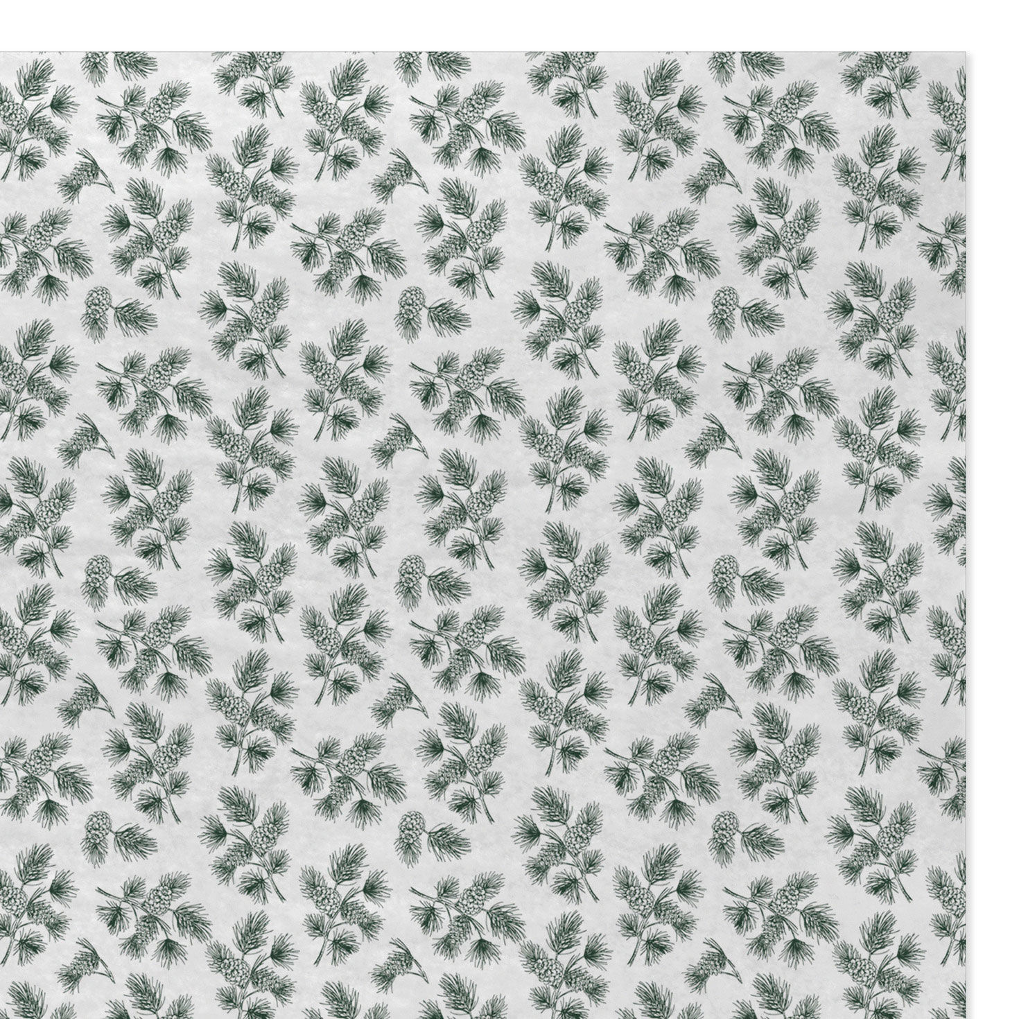 Pine-Scented Branches on White Holiday Tissue Paper upclose view image number 4