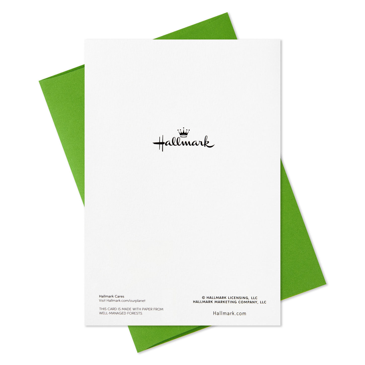 California Snow Globe Scene Boxed Christmas Cards, Pack of 16, , large image number 7