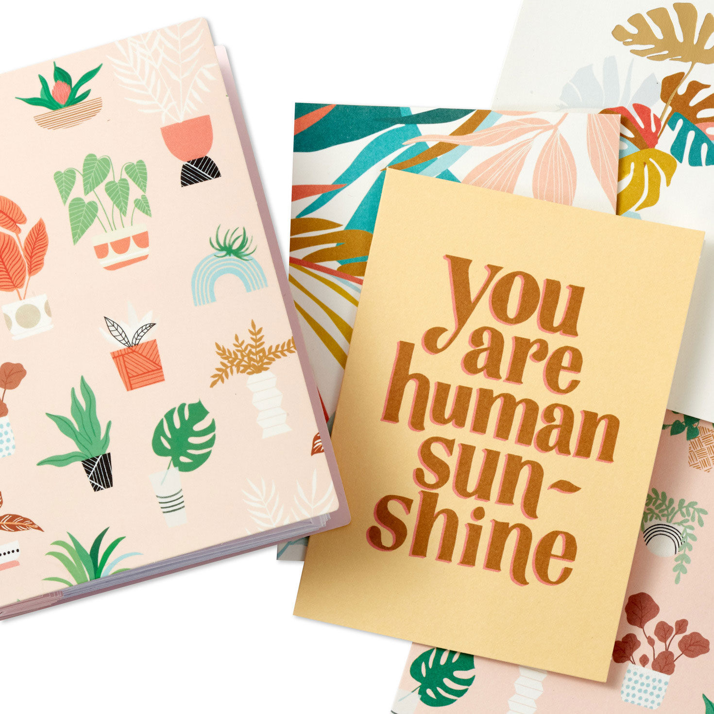 Potted Plant Booklet of All-Occasion Cards closeup view image number 3