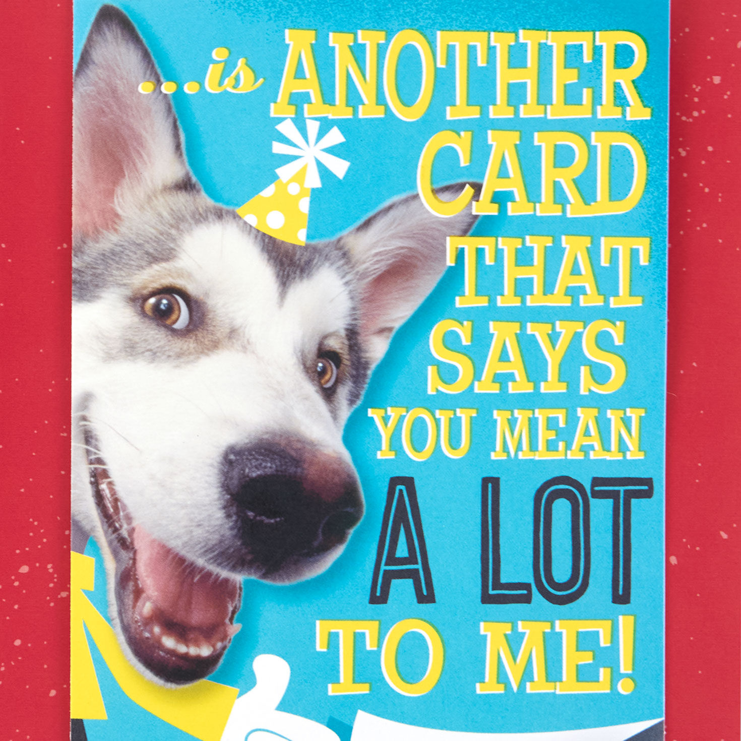 Dog With Lots of Wishes Birthday Card Sentiment image number 2