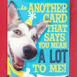 Dog With Lots of Wishes Birthday Card Sentiment image number 2