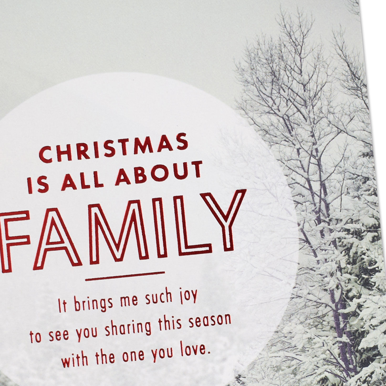 Couple in Snowy Woods Christmas Card for Brother and Partner Card Front Detail image number 5