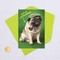 Not a Leprechaun Funny St. Patrick's Day Card, , large image number 5