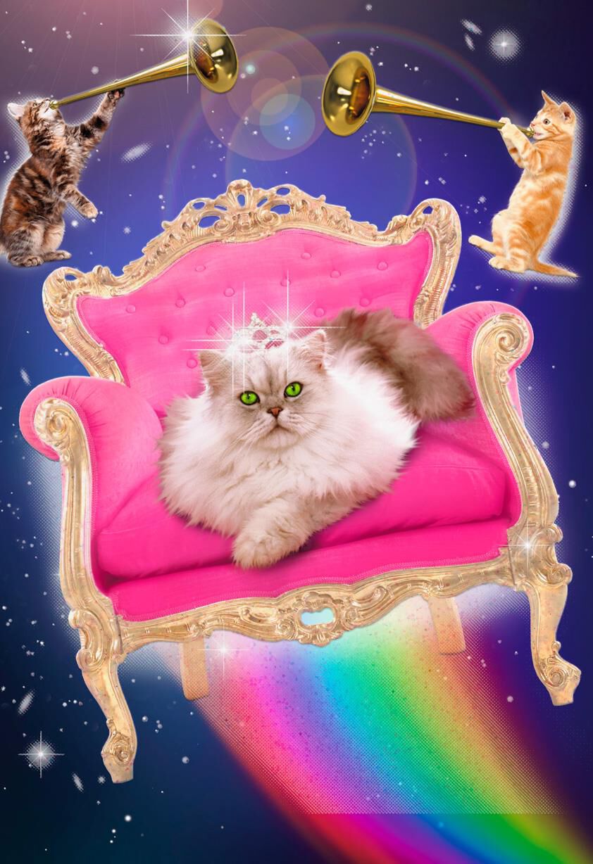 Royal Treatment Funny Birthday Card