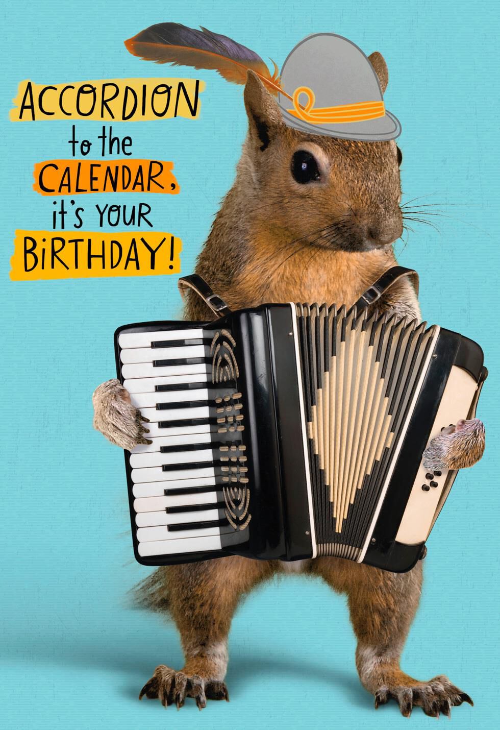 All the Fun Birthday Card