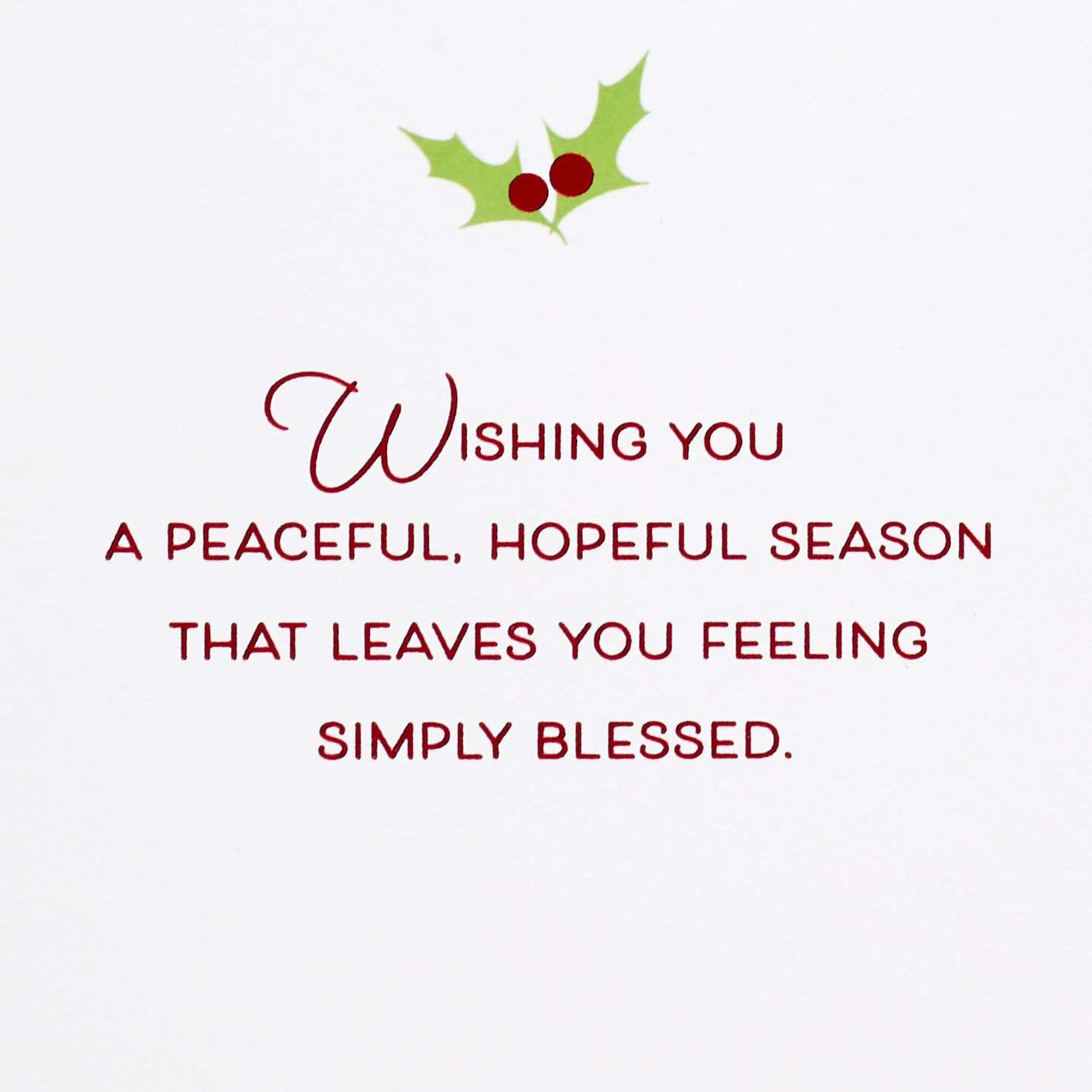 Bird with Pinecone Ornament Christmas Card Sentiment image number 2