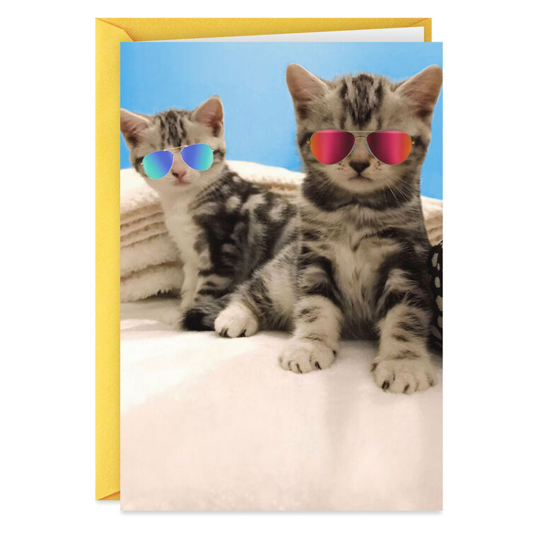 Awesome Cats in Reflective Sunglasses Funny Friendship Card