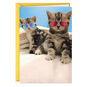 2 Cute Kittens in Sunglasses Funny Friendship Card Card Front image number 1