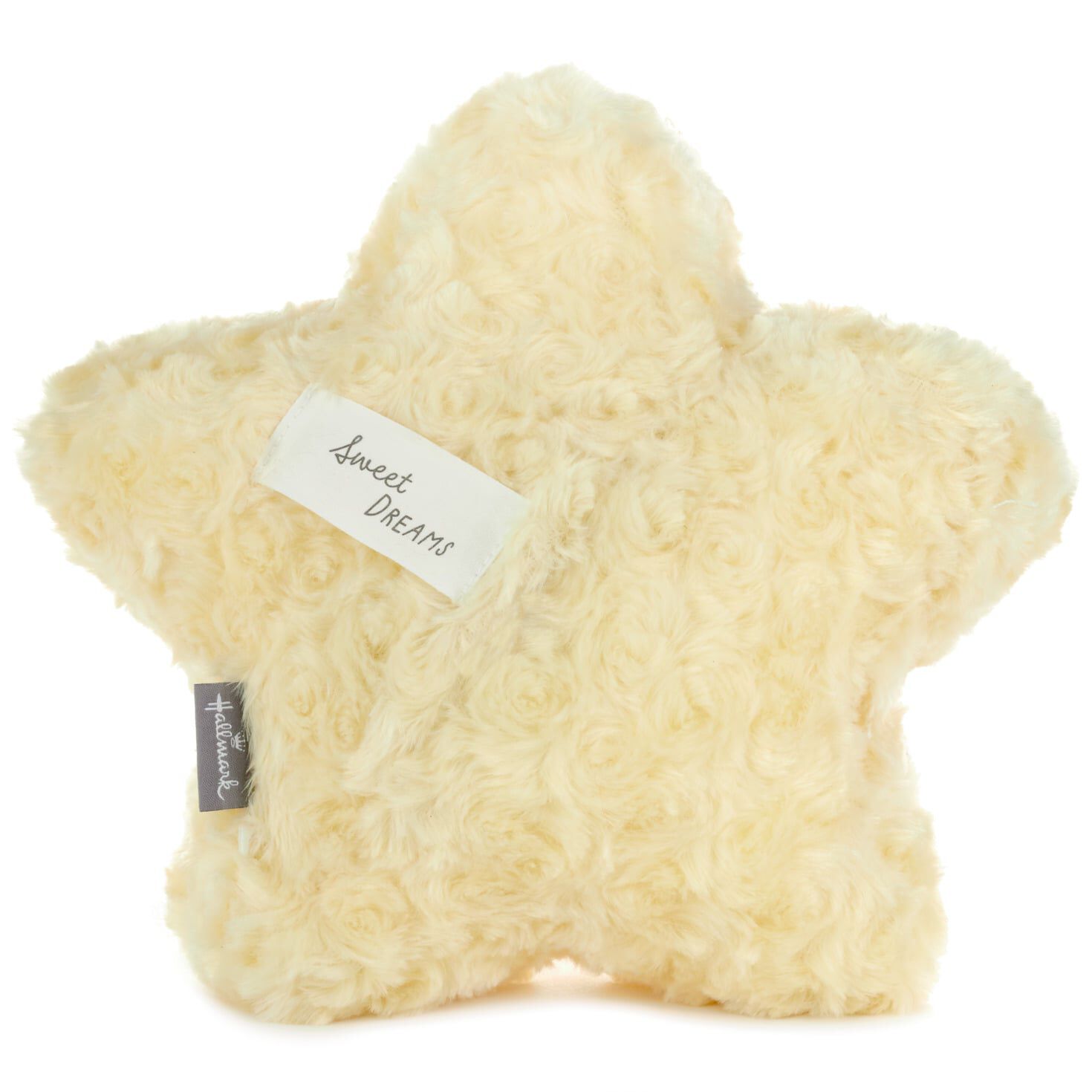 recordable stuffed animal