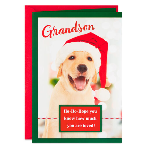 Puppy Dog in Santa Hat Christmas Card for Grandson, 