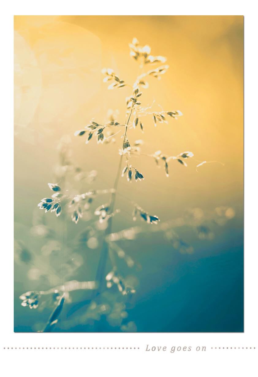 Love Goes On Sympathy Card