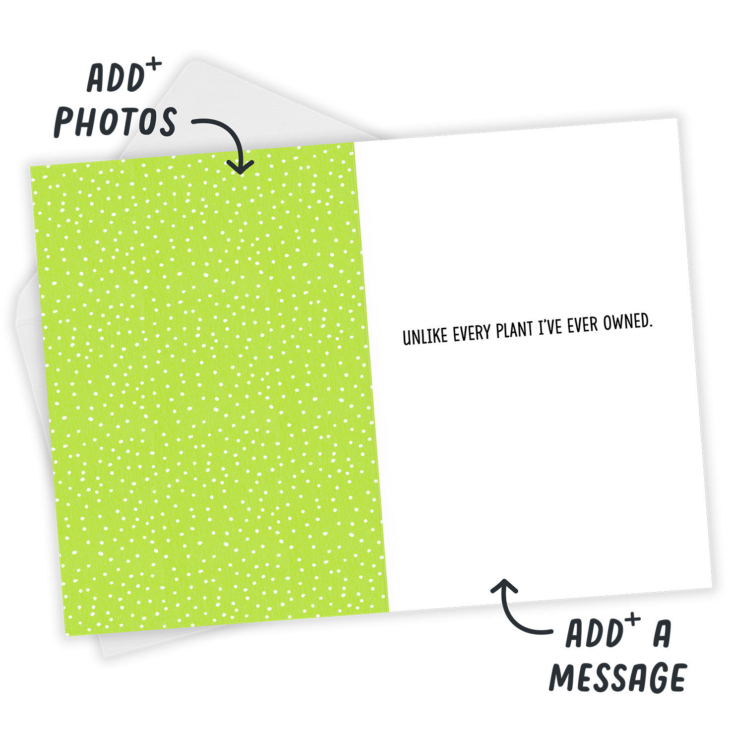 Plants Funny Custom Friendship Card, , large image number 3