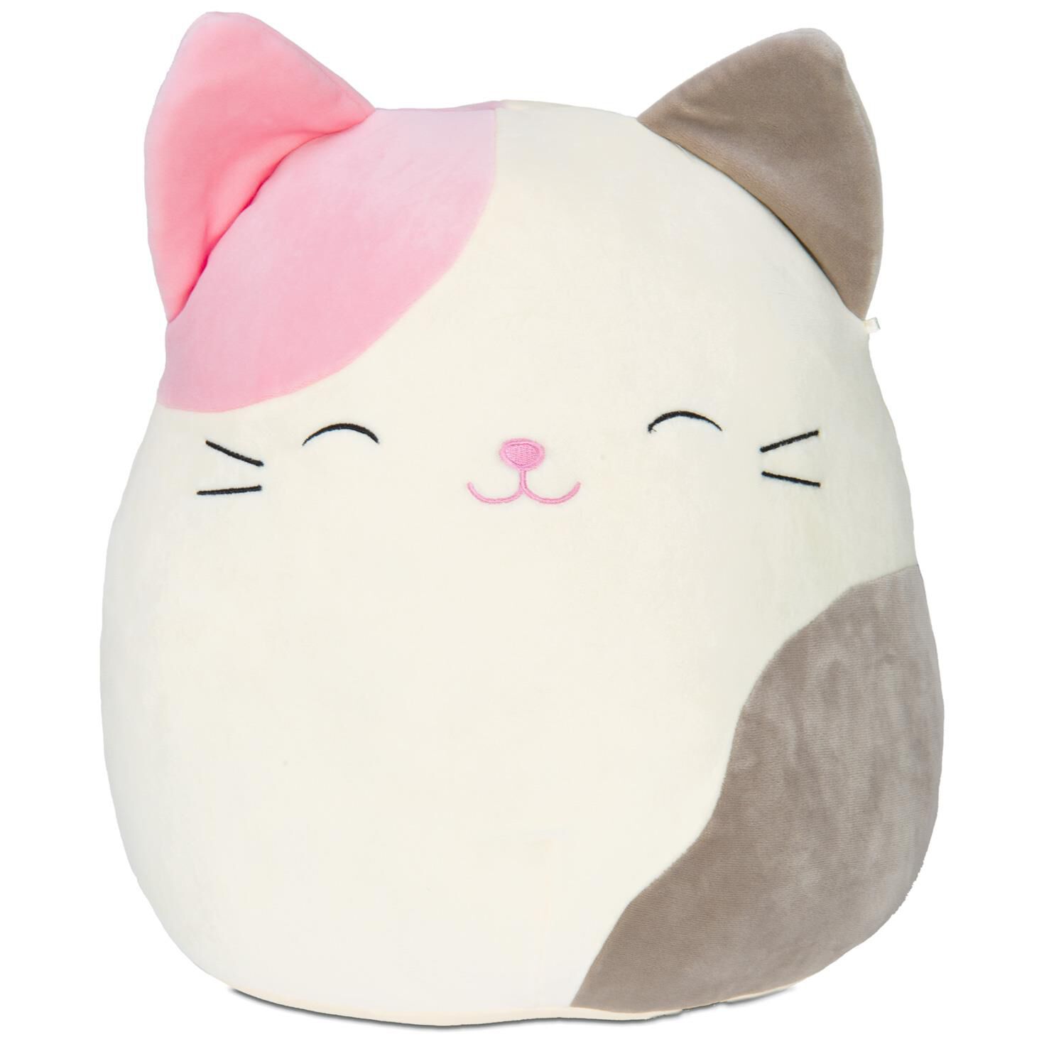 cat and stuffed animal